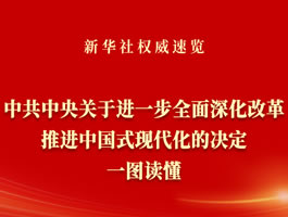 《中共中央关于进一步全面深化改革、推进中国式现代化的决定》一图读懂