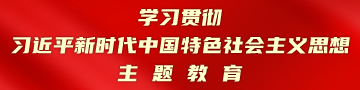 学习贯彻习近平新时代中国特色社会主义思想主题教育